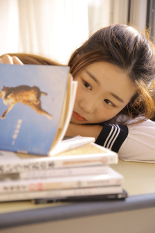 最终还是从了女婿